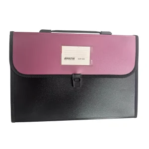GENERIC Expanding Folder File for A4 Paper with 13 Pockets